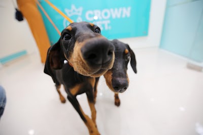 Crown Vet Aundh